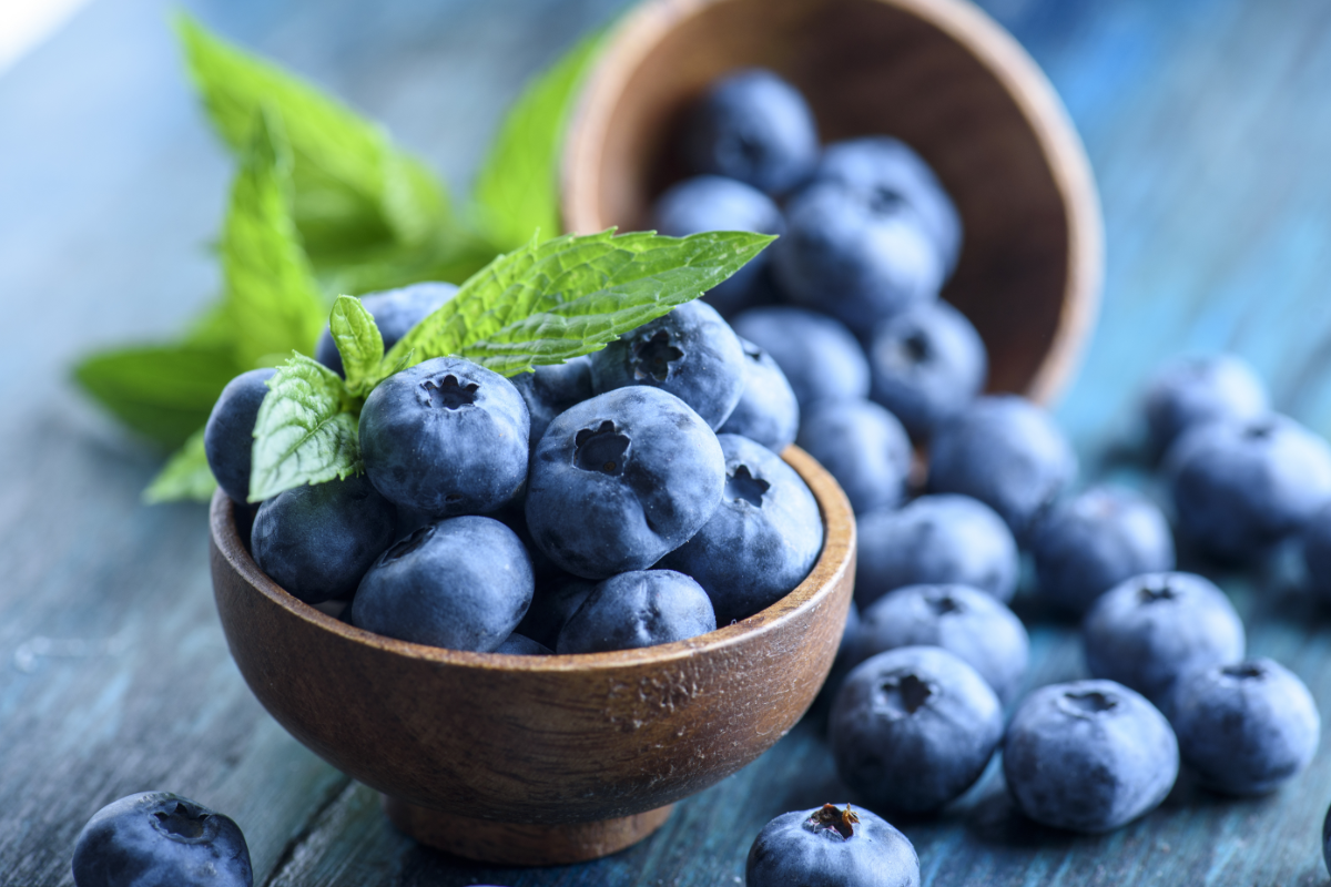 Blueberry industry launches Blueberry Method campaign | 2020-04-30 ...