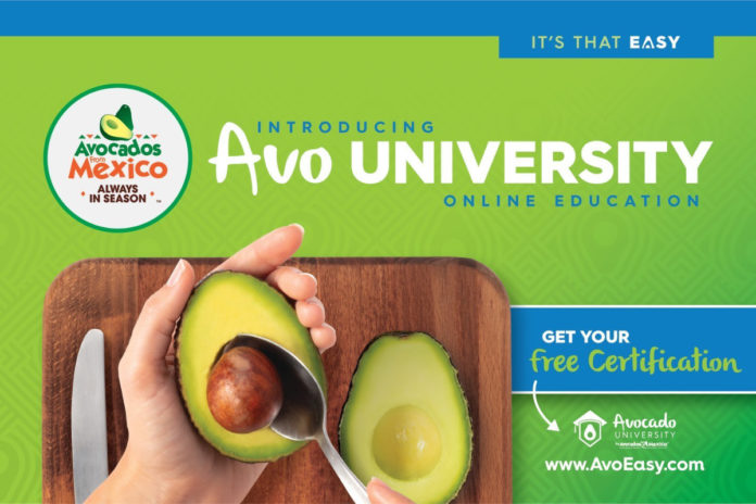 Virtual YouTubing – An Introduction – The Avocado
