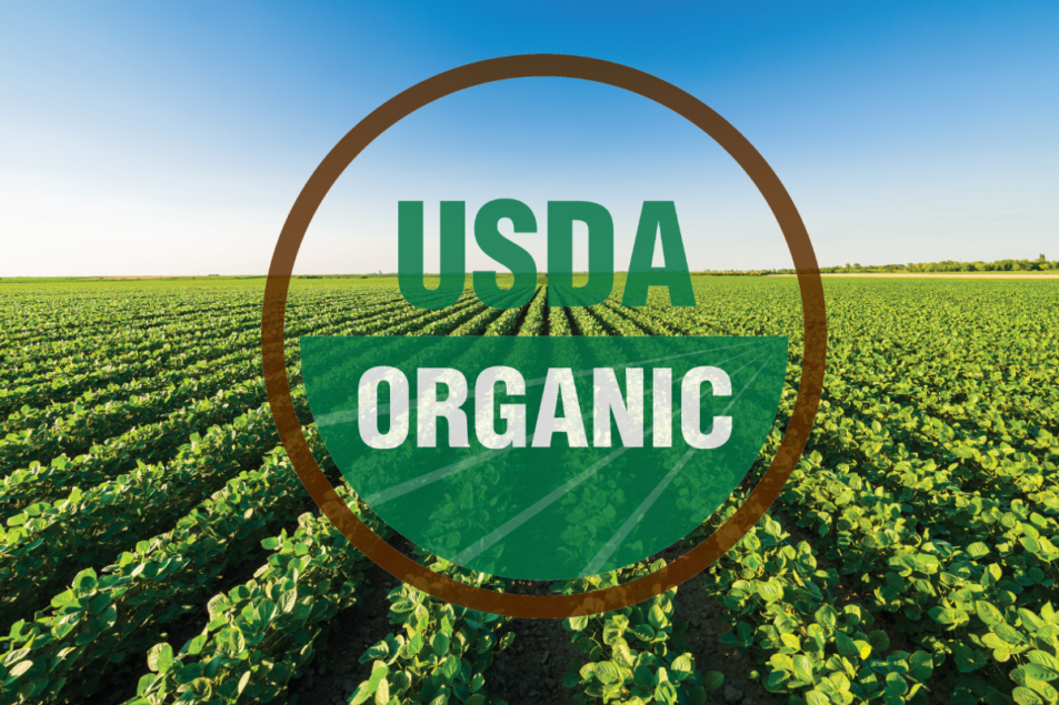 Usda Moves To Stamp Out Organic Fraud 2020 08 20 Food Business News
