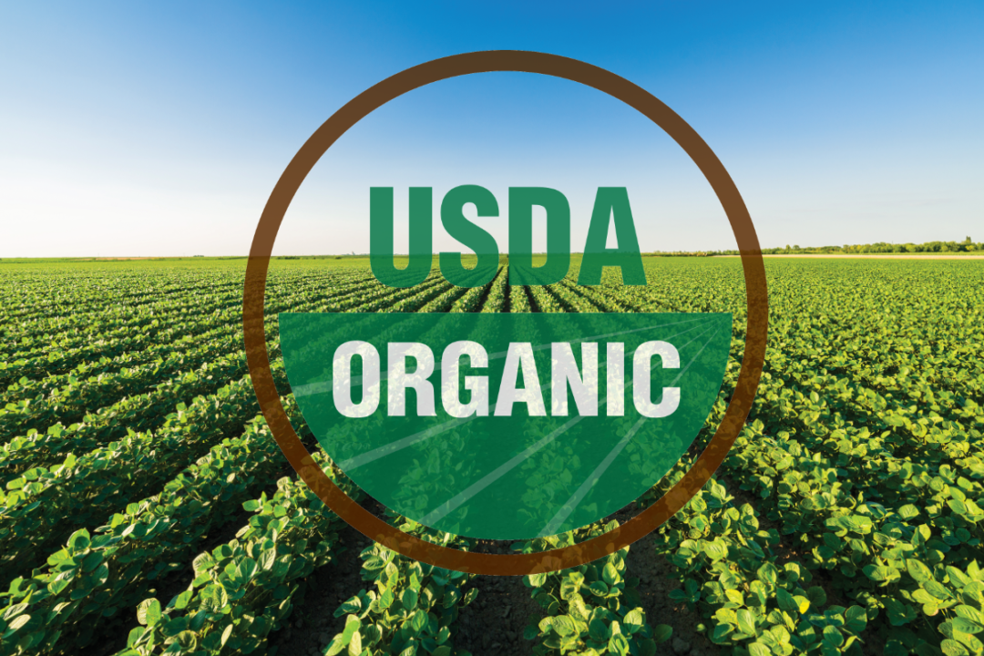 soybean field with USDA organic logo