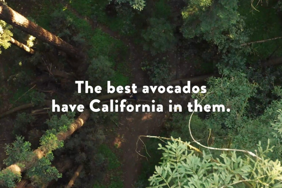 California Avocado Commission videos feature road trip theme ...