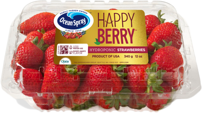oppy-hydroponic-strawberries.png