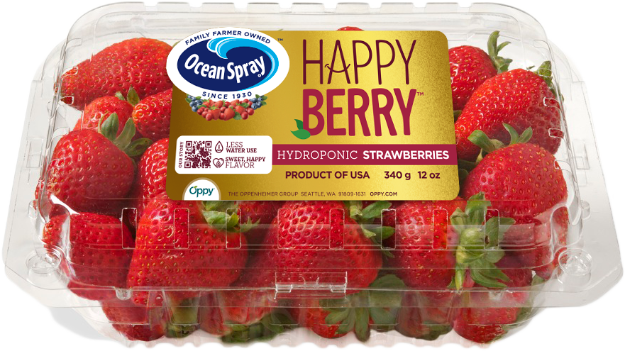 oppy-hydroponic-strawberries.png