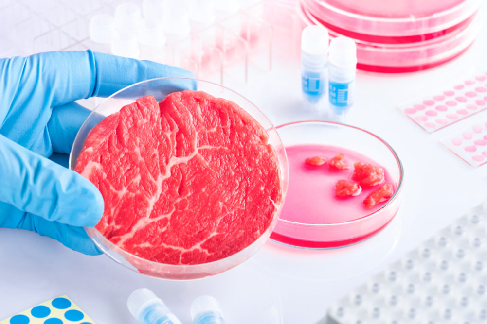 Cell-based meat
