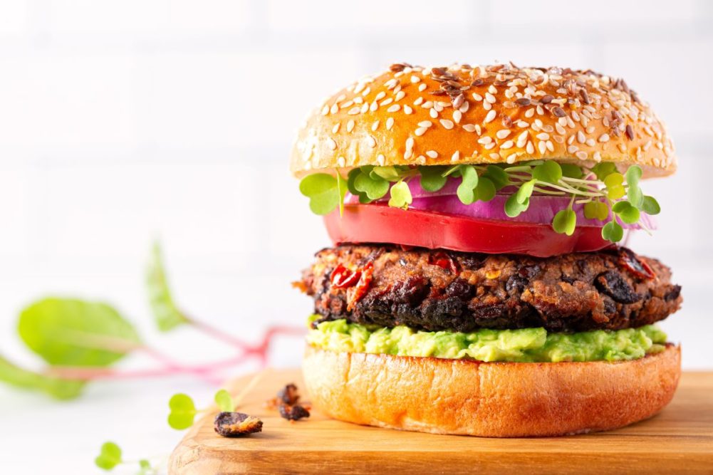 Alternative protein burger