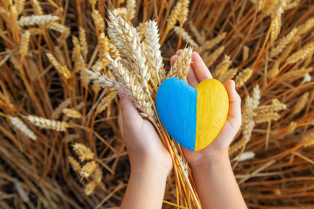Child holding Ukrainian colored heart in wheat field