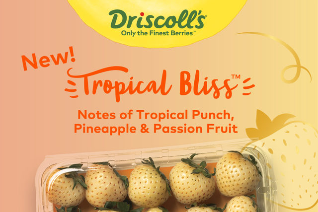 Driscoll's tropical bliss