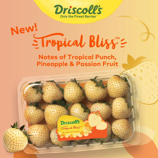 driscoll's tropical bliss.jpg
