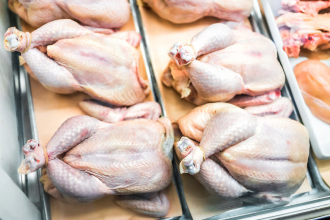 raw-whole-chickens-lined-up