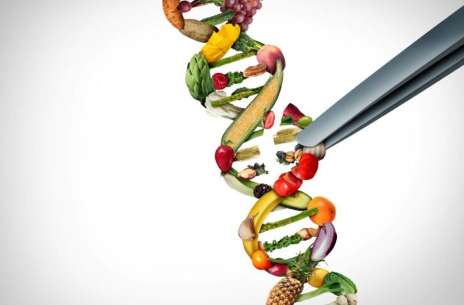 dna-strand-made-of-food-graphics