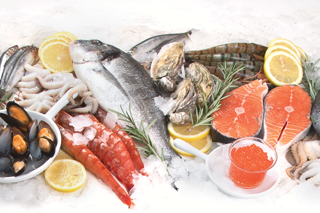 a-variety-of-seafood-products-on-white-background