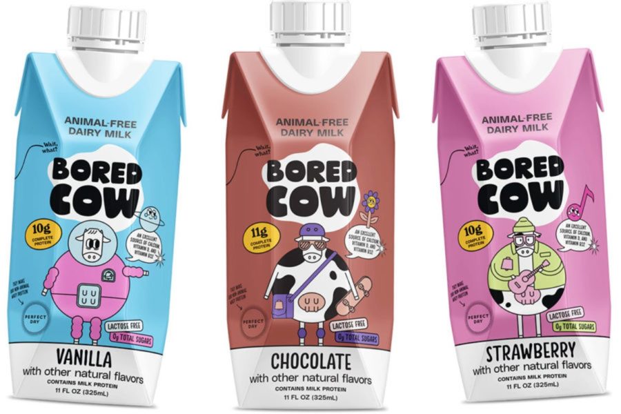 bored-cow-products-on-white-background