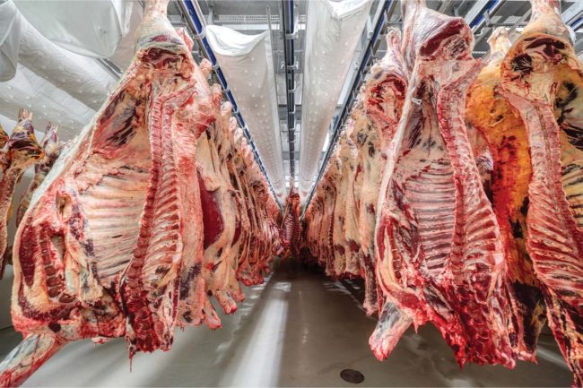 beef hanging in meet processing facility