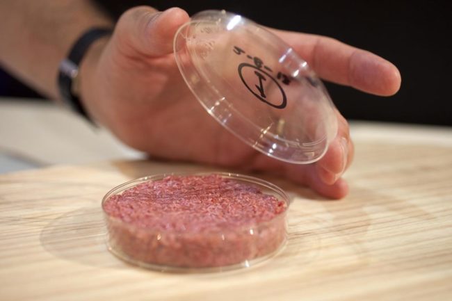 A burger made from Cultured Beef, which has been developed by Professor Mark Post of Maastricht University in the Netherlands.