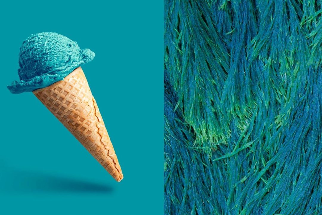blue ice cream cone next to green and blue plant fibers