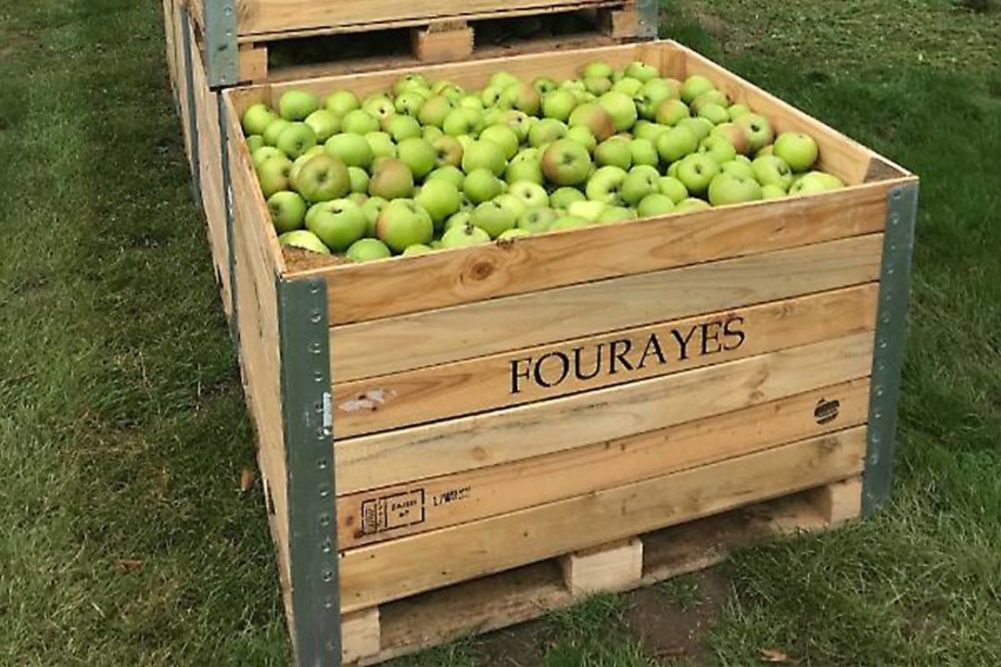 fourayes-green-apples-in-wooden-crate