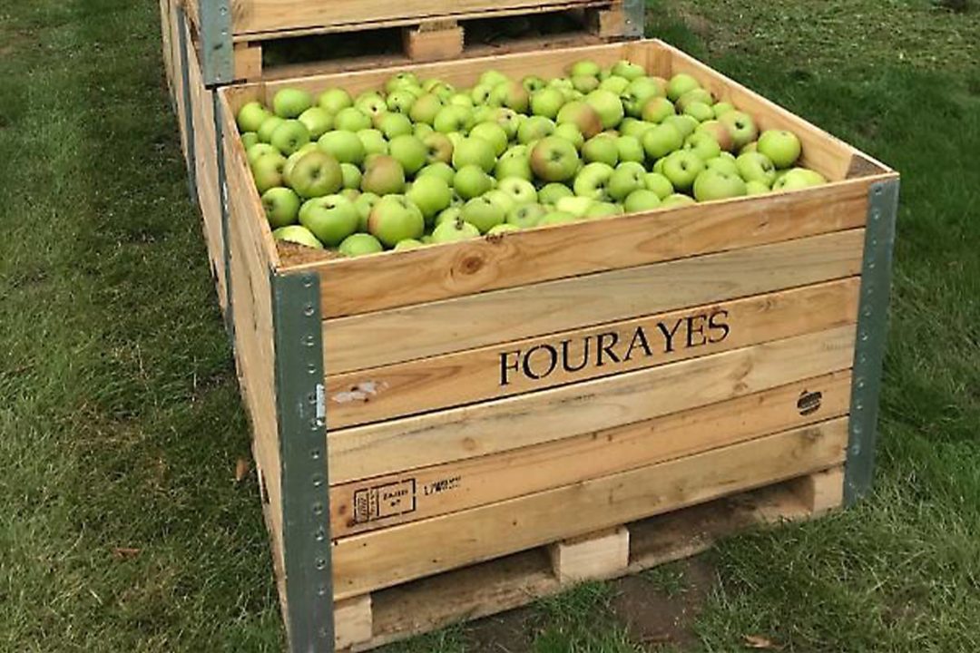 fourayes-green-apples-in-wooden-crate