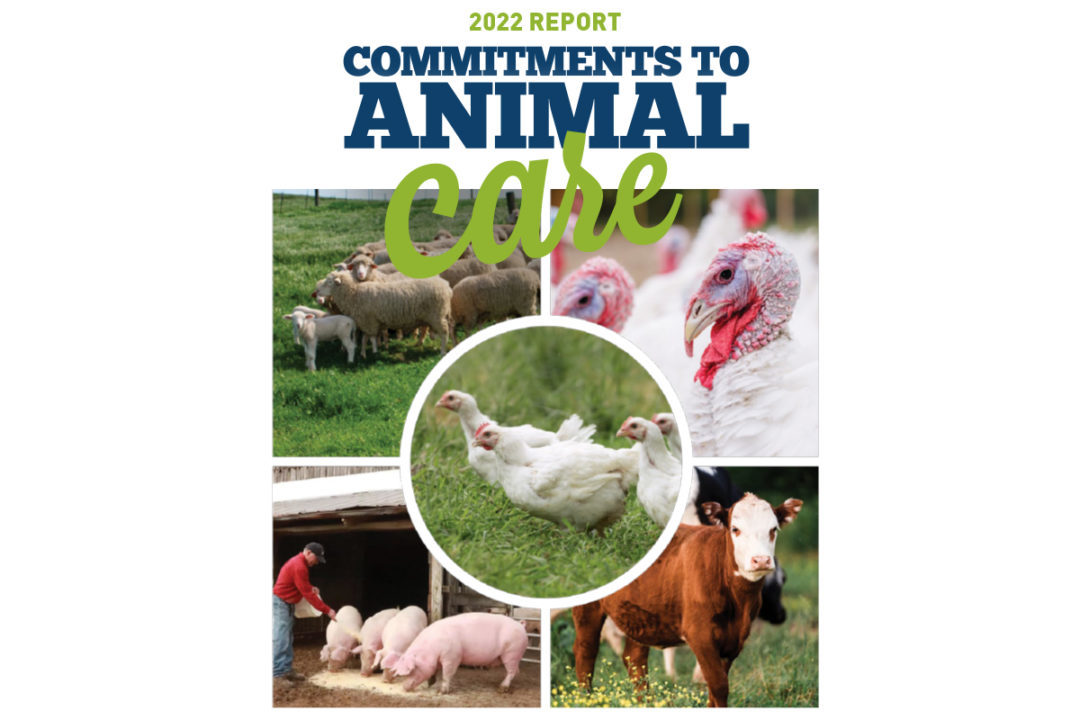 Perdue_Farms_2022_Commitments_to_Animal_Care_logo
