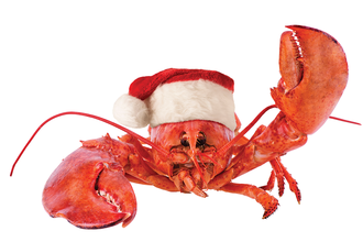 crab wearing a santa hat