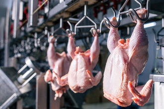 Poultry_processing
