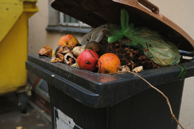 produce in garbage