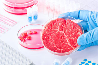 cultivated meat in a lab