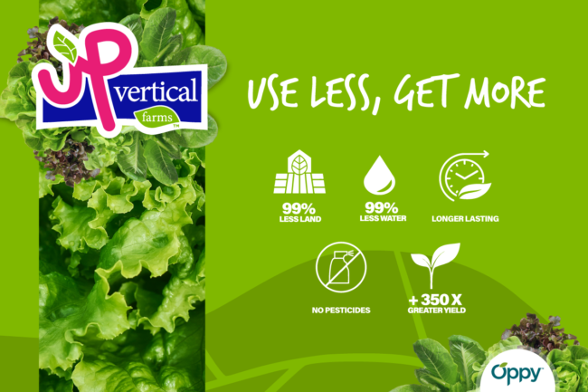 Debuting this winter, UP Vertical Farms™ is an indoor farming solution in Pitt Meadows, BC growing baby leafy greens. Learn more about how UP is upping the ante on vertical farming…