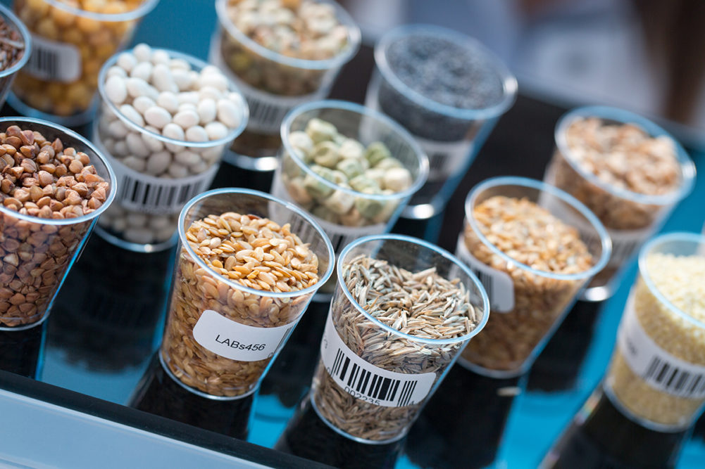 seeds and grains in small cups in testing lab