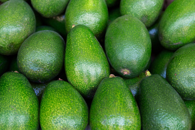 close up of avocados