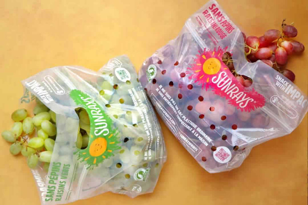 Vandenberg SUNRAYS grape bags