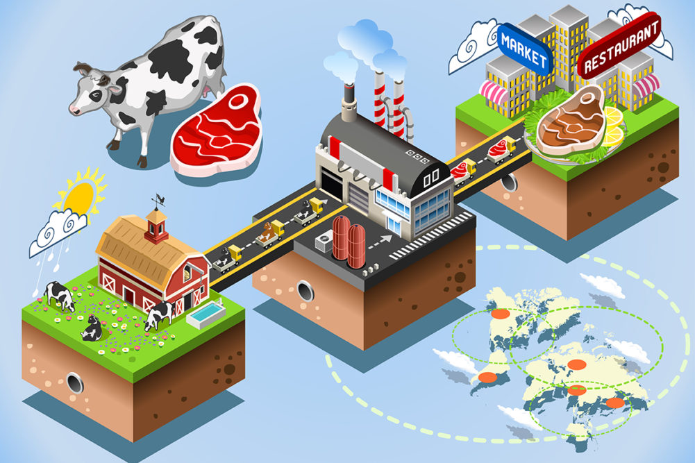illustration of the traceability and supply chain of beef from cow to store