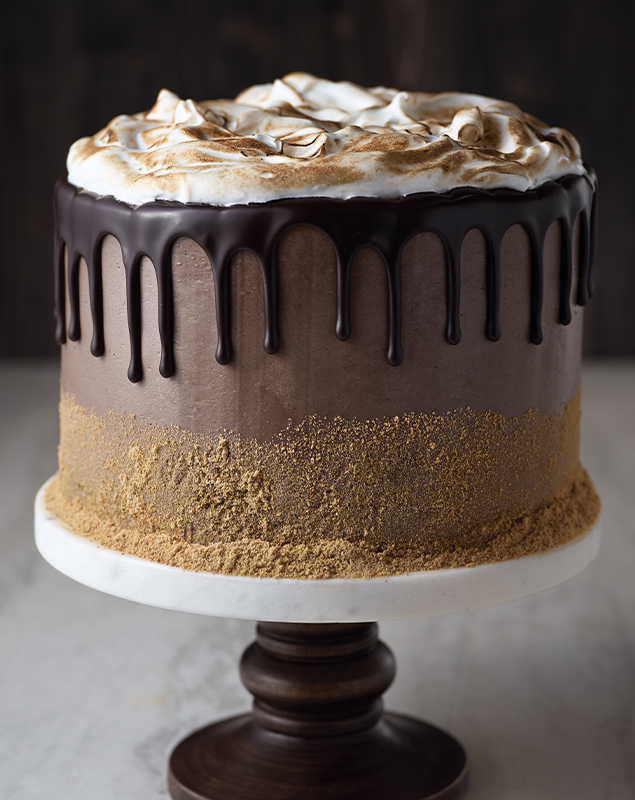 decorated s'mores cake on a stand