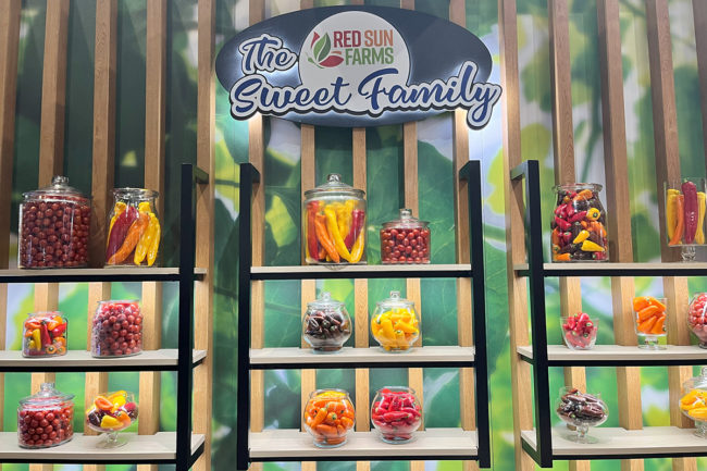 red-sun-farms display of sweet produce at 2022 IFPA show