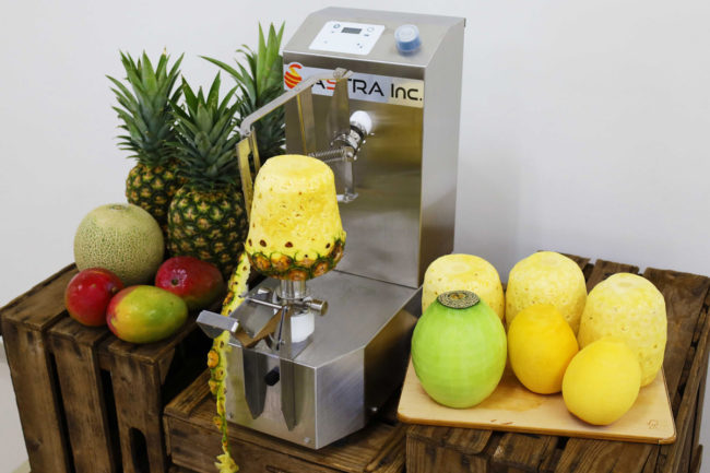 fruit peeler equipment
