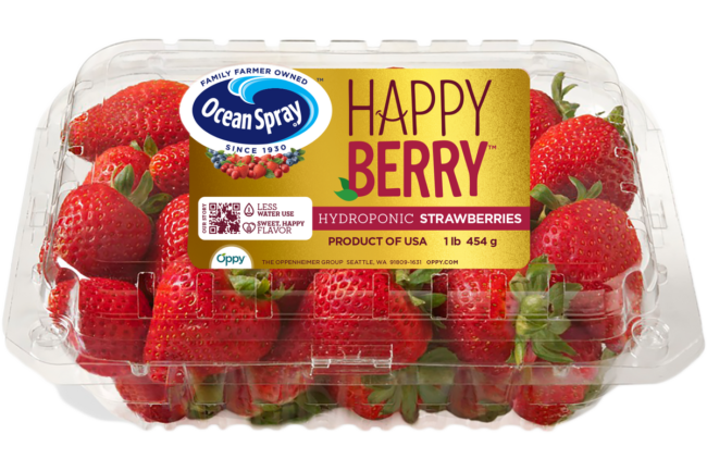 oppy ocean spray strawberries in plastic box