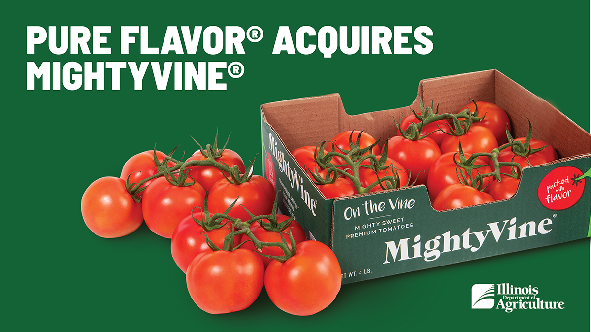 green background with branded cardboard box of MightyVine tomatoes and text saying "Pure Flavor acquires MightyVine"