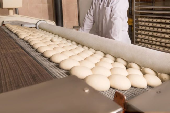 loaves of bread dough on equipment line