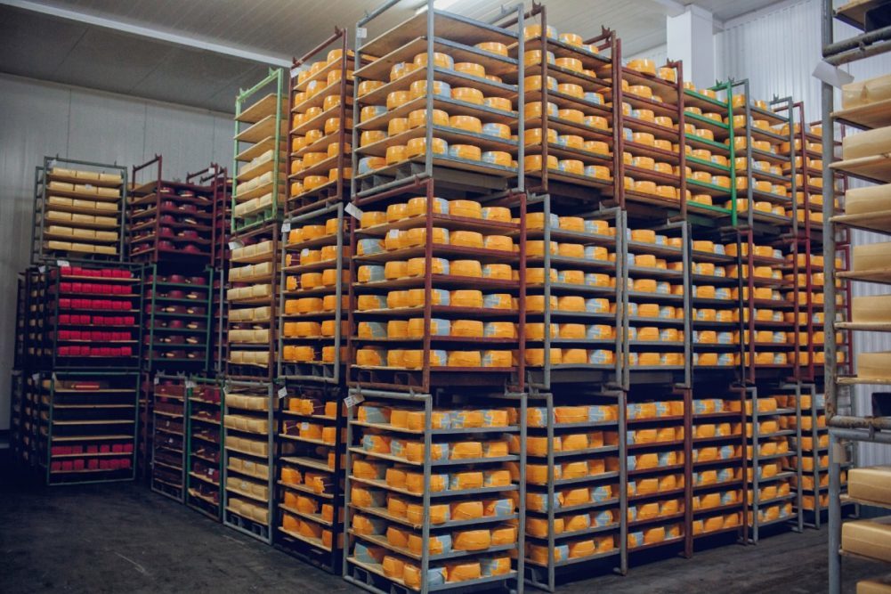 cheese in a warehouse on shelves