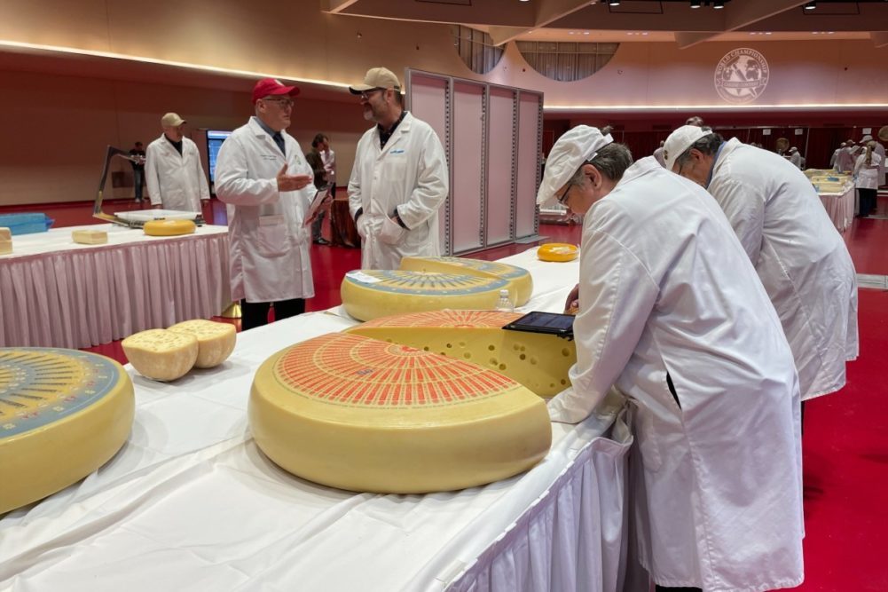 wheels of cheese at a competition