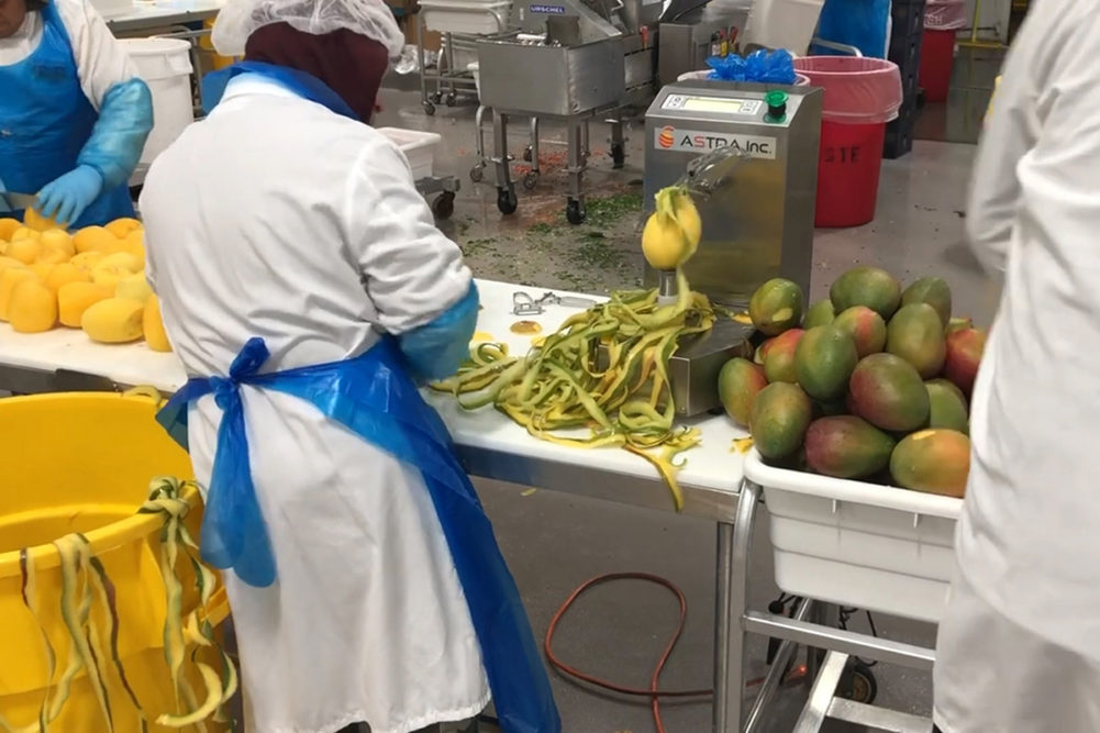 workers using fruit peeler equipment