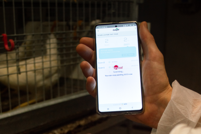 hand holding smart phone with REVEAL page on the screen, chickens in the background