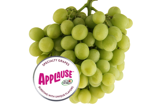 bunch of applause green grapes
