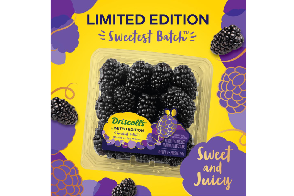 Driscoll's_sweetest_blackeberries