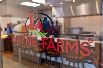 Wayne farms lead