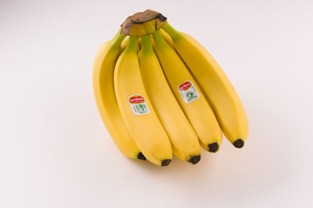 bananas sp