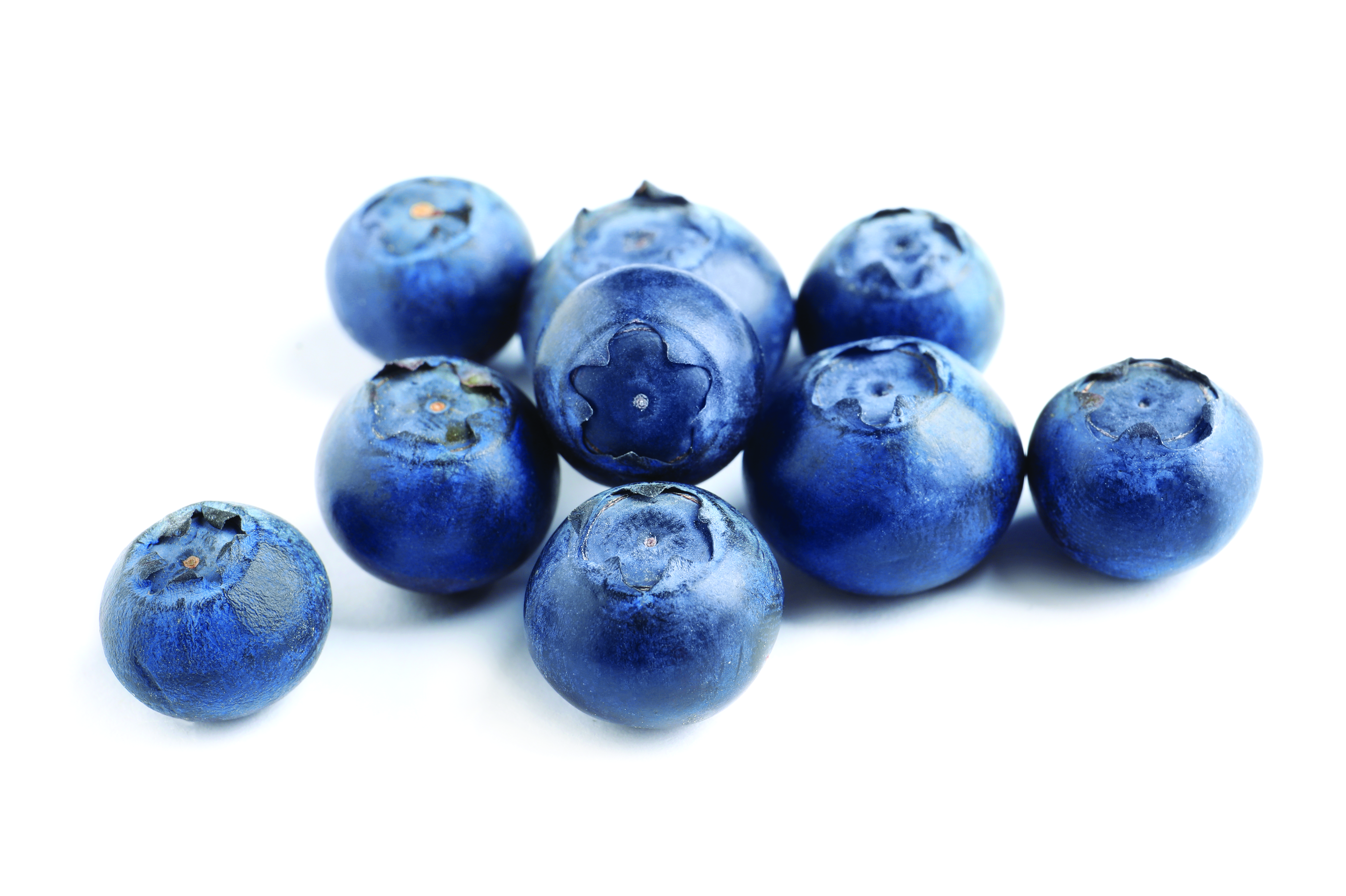 blueberries jpeg