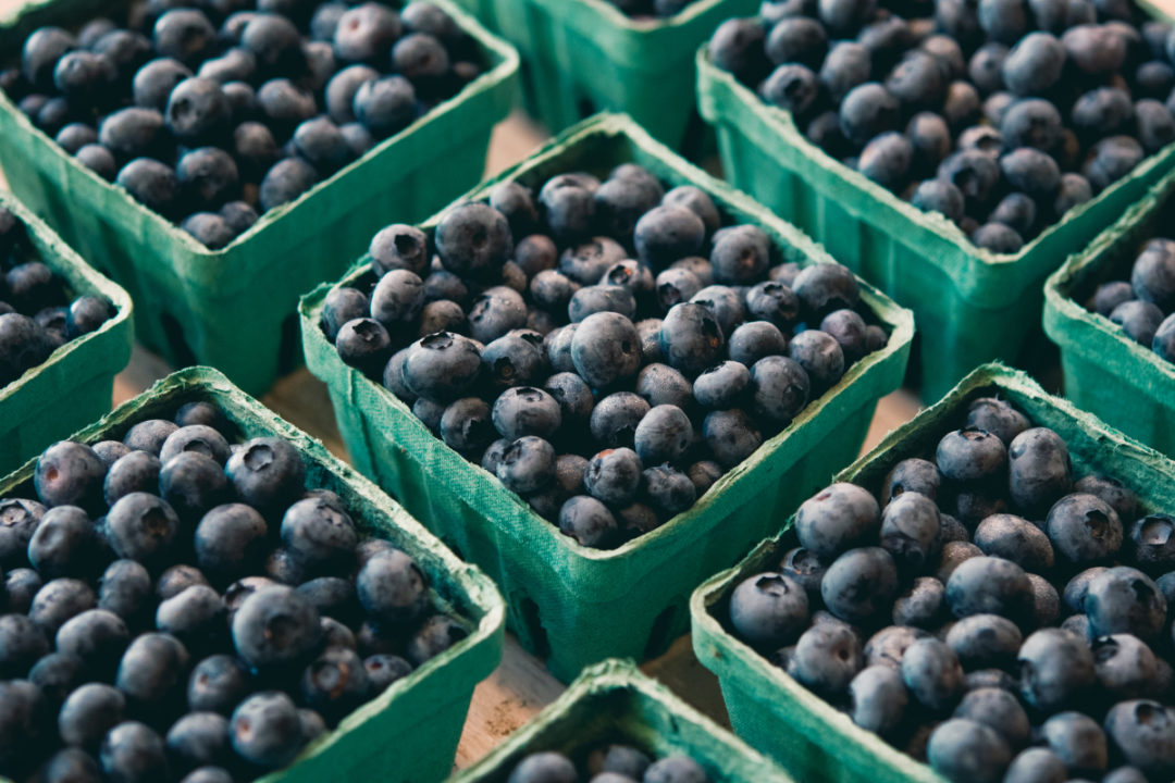 blueberries sp 