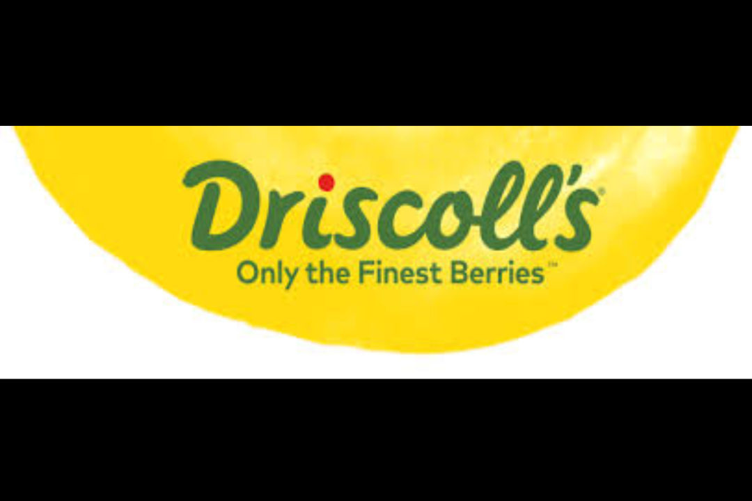 driscoll's logo