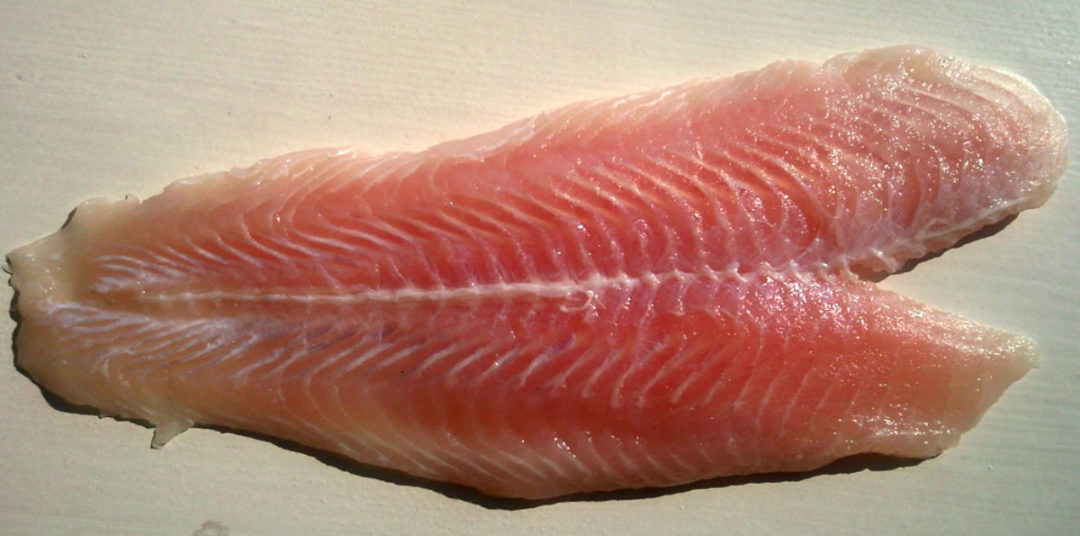 fish fillet sp